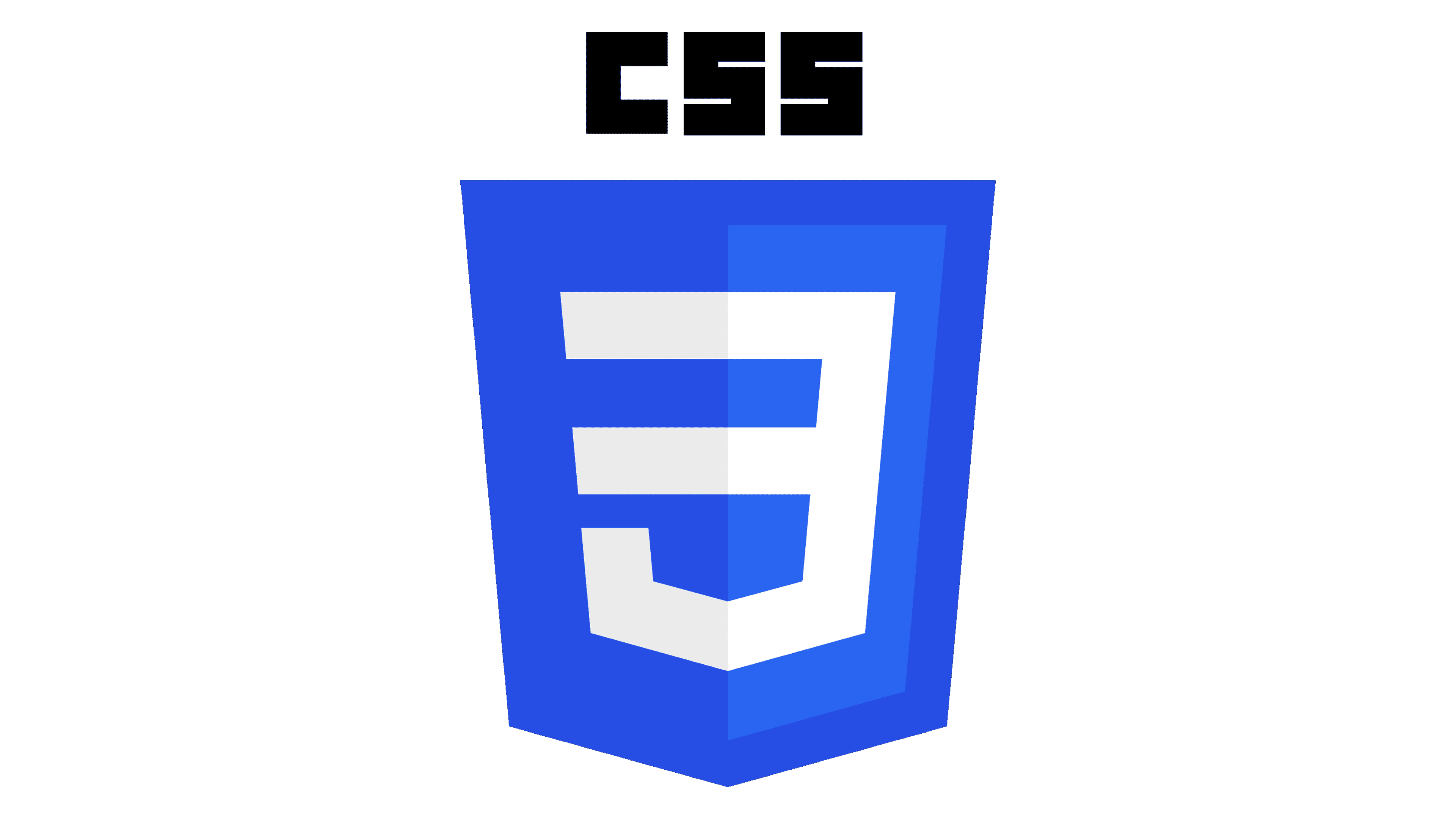 CSS Logo
